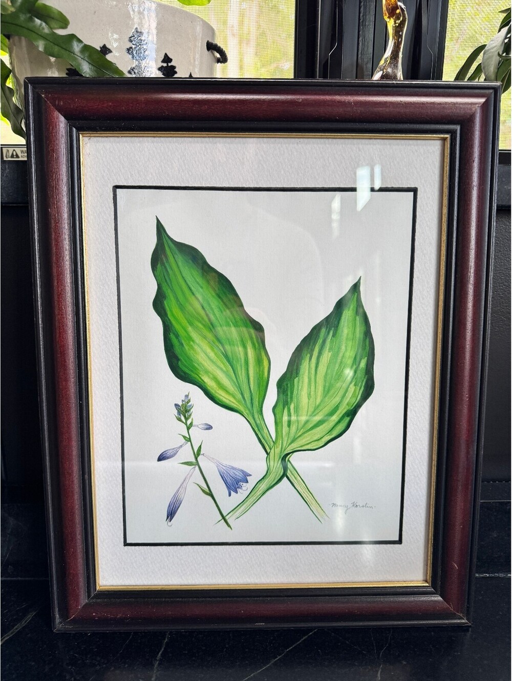 Original Botanical Watercolor Painting - Hosta Leaves & Flowers by Nancy Korslin